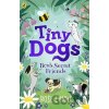 Tiny Dogs: Bea’s Secret Friends - Rose Lihou