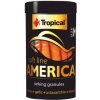 Tropical Soft Line America M 100 ml/60 g