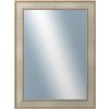 DANTIK - Zrkadlo v rámu, rozmer s rámom 60x80 cm z lišty TOOTH strieborná (2779)