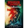 Stranger Things and Dungeons & Dragons Library Edition