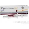 Epato pasta plus 2 x 15 ml