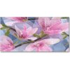 Foto obraz sklo tvrzené ružová magnólia 100x50 cm