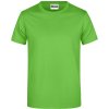 James & Nicholson Tričko JN 797, krátký rukáv, pánské COT02079704204-lime green XL Zelená lime