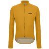 SANTINI RTR Wind Yellow