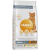 Iams Adult IND Chicken 10kg