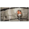 Painting Queens Painting Queens Maľovanie podľa čísel - Vtáčik Červenka (sada 3 ks), 40 × 60 cm, na ráme (PBNSET/03REDBIRD/40X60_40X60_40X60/W)
