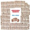 Collegium Musicum - On a Ona / Vinyl [LP]