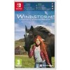Windstorm: Start of a Great Friendship (SWITCH)