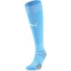 Puma teamFINAL 21 Socks