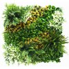 MINI WALL GREEN orange bush, dielec 50 x 50 cm (Realistická 