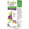 Fructolax Sirup pre deti 250 ml