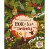 Rok v lese Drobečci (Emilia Dziubaková)