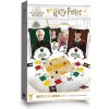 Asmodee Harry Potter: Mistr čar a kouzel CZ