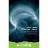 Elektřina a magnetismus - Bedřich Sedlák, Ivan Štoll