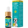 Zelená země CBD kvapky pre psov Slanina 10 percent 10 ml