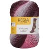 Regia Virtuoso Color Good Vibes Color Pletacia priadza