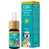 Zelená země CBD kvapky pre psov Slanina 5 percent 10 ml