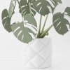 Monstera Magnetica – 3D Tlačená Dekorácia & Podložky pod Poháre Farba listov: zelená, Vyber typ kvetináča: Veluto, Vyber farbu kvetináča: biela