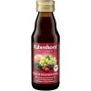 Rabenhorst Bio ovocná šťáva Regenerace 125 ml