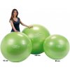 Physio Gymnic Plus 95 cm