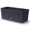 Prosperplast Truhlík RATO CASE antracit 60cm