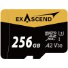 Catalyst UHS-I microSD card(V30) 256GB Exascend