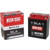 BS BATTERY BB12A-A/B
