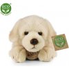 Eco-Friendly Rappapes labrador 20 cm