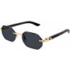 Cartier CT0439S 001