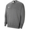 Nike Park 20 Crew Fleece M CW6902-071