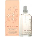 L´Occitane Cherry Blossom toaletná voda dámska 75 ml