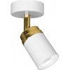Luminex | Bodové svietidlo RENO 1xGU10/8W/230V biela/zlatá | LU5154