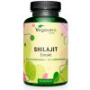 VEGAVERO Shilajit (Mumio) 90 kapsúl