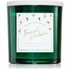 DW Home Winter Wonderland Frosted Balsam vonná sviečka 374 g