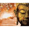 zuty Zuty - Maľovanie Podľa Čísel - Budha A Strom, 80X100 Cm, Plátno+Rám (8596530072515)