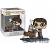 Funko POP Deluxe: Harry Potter Anniversary - Harry Pushing Trolley - Funko