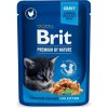 Brit Premium Cat kapsička Chicken Chunks for Kitten SET 24x 100 g