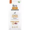 Brit Care Dog Hypoallergenic s jahňacím Junior Large Breed 12 kg
