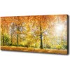 Foto obraz na plátne Jesenný les 100x50 cm