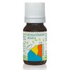 Hanus Rumančeková silica 2 ml