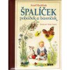 Sun Špalíček pohádek a básniček CZ verzia