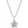Hot Diamonds Strieborný kvetinový náhrdelník Forget me not DP749