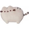 Aurora Pusheen Classic cca 24 cm