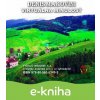 E-kniha Virtuálna minulosť - Denis Makovini
