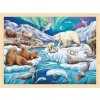 Dřevěné puzzle Polární noc 96 dílků