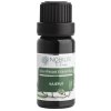 Nobilis Tilia Kajeput 10 ml