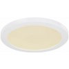 GLOBO 12379-24W LASSE stropné svietidlo LED D298mm 24W/1900lm 3000-4000-6500K biela, opál