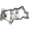 Nálepka fototapeta 3D na stenu Biele mačky 95x73 cm
