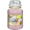 Yankee Candle Classic Sunny Daydream vonná sviečka 623 g