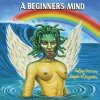 Stevens Sufjan & Angelo De Augustine - Beginner's Mind / Vinyl [LP]